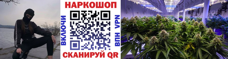 Купить наркотики цена Алатырь ГАШ  Codein  Меф  МАРИХУАНА  Cocaine  Галлюциногенные грибы 